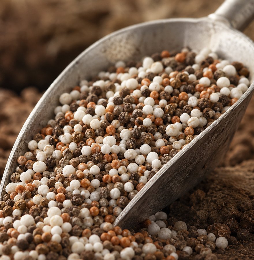 Agriculture Inputs