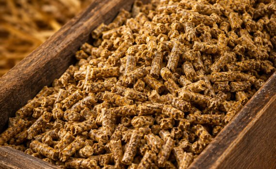 Veterinary-and-Animal-Feed